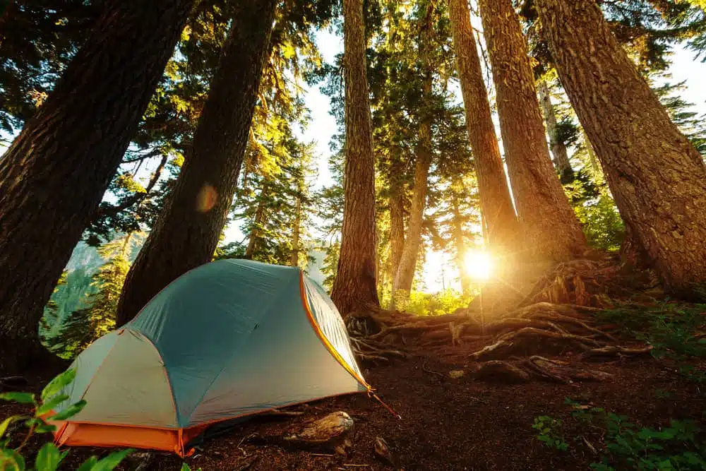 A LeadingCampings tent pitched in the woods while camping in Europe, with the sun setting behind it.