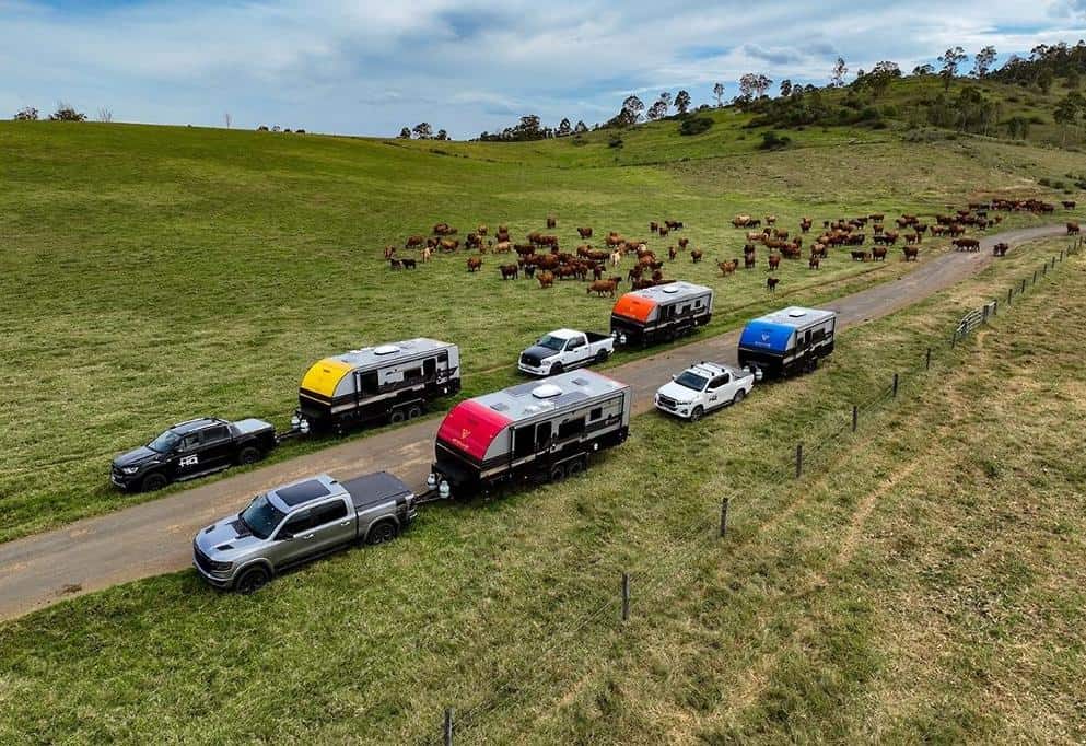 A fleet of trucks parked in a field next to a herd of cows.