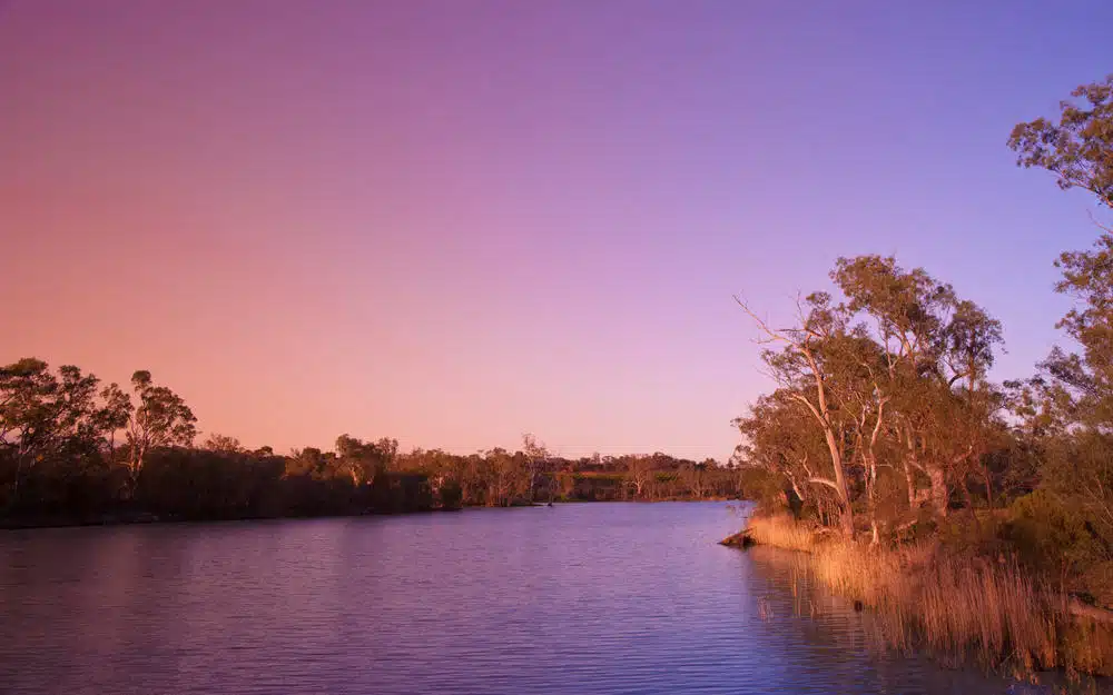 An image of the River Murray at sunset with trees in the background.