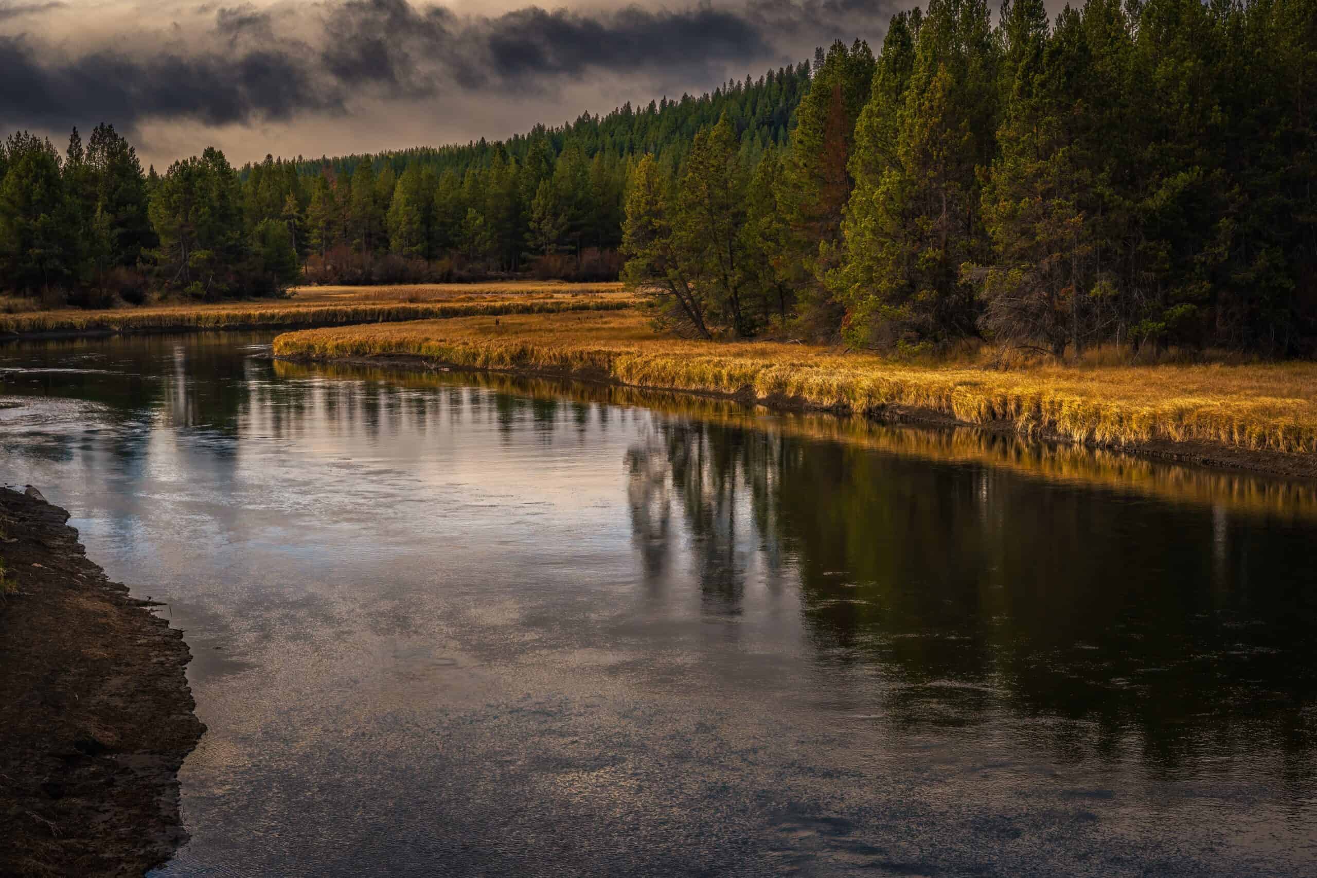 A river surrounded by grass and trees within Deschutes National Forest, under a cloudy sky.