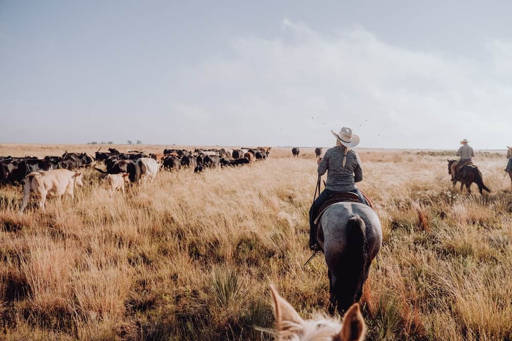 A group of cowboys participating in Exciting Events, riding horses through a grassy field at Texas State Parks.