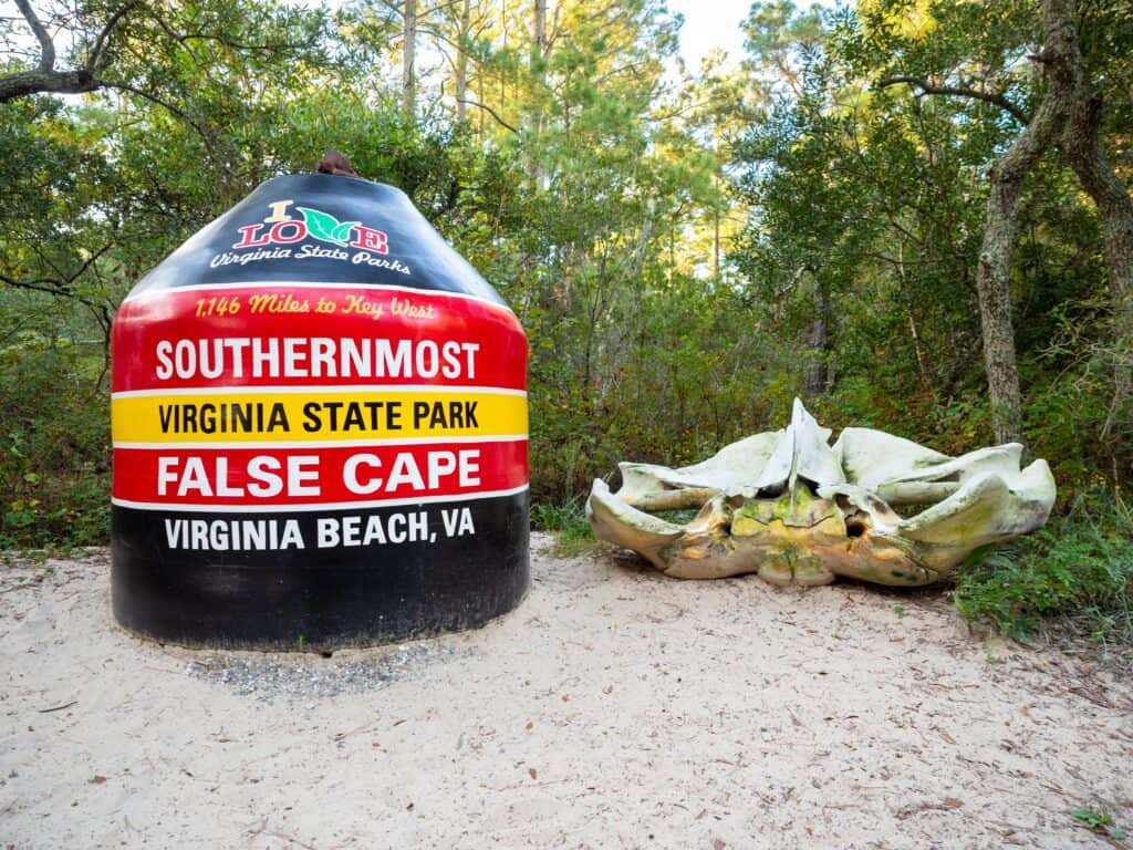 Southernmost Virginia state park, False Cape, offers a scenic camping experience. Located in Virginia, this state park is perfect for nature enthusiasts looking to immerse themselves in the beauty of the outdoors. Don