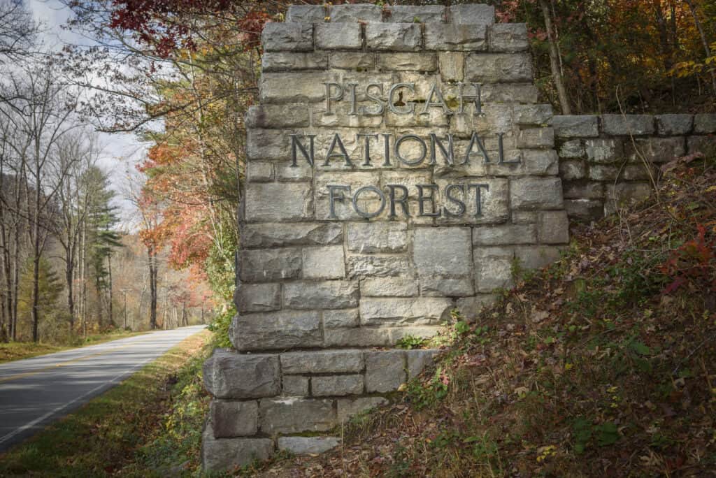 Et skilt som sier "National Forest" på siden av en vei i Linville Gorge Wilderness-området, hvor besøkende kan få overnattingstillatelser reservert online.