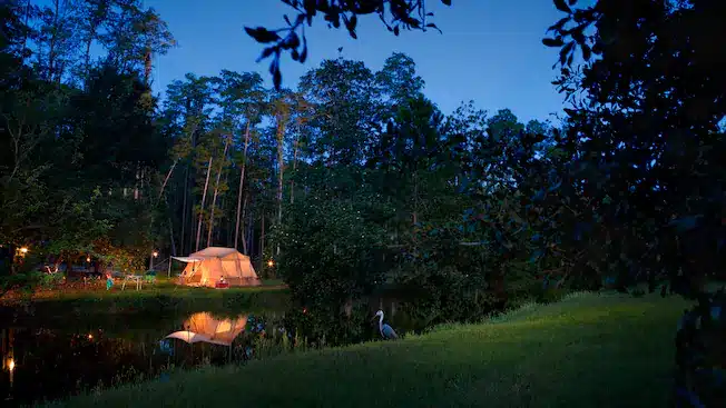 A tent in the woods next to a pond at night undergoes Disney-inspired changes.