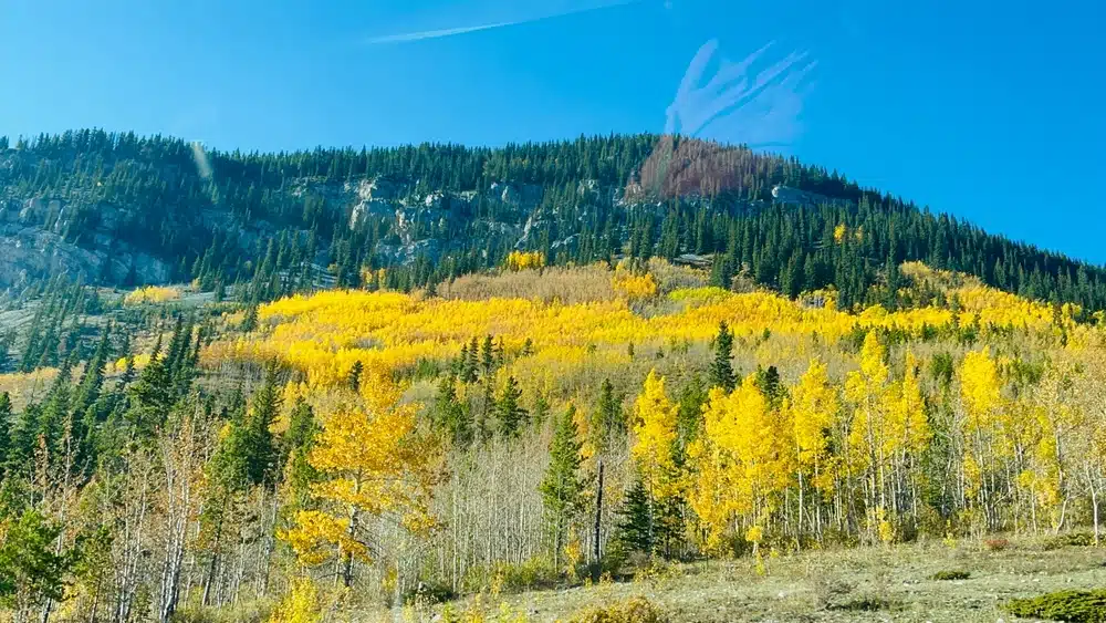 A scenic view of a mountain with vibrant yellow aspen trees in the background.