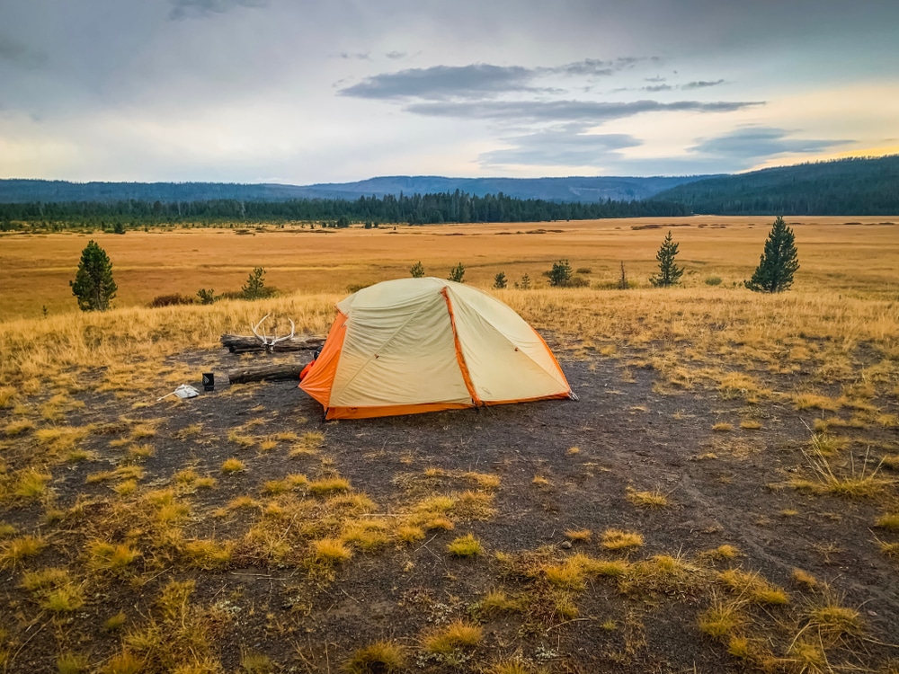 A Sold-Out tent set up in the middle of a field Unlocking campsites.