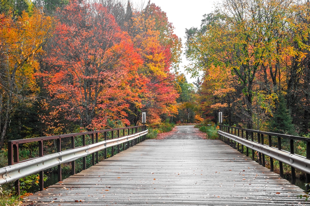 A wooden bridge surrounded by fall colored trees in Van Riper State Park, near Beaufort Lake.