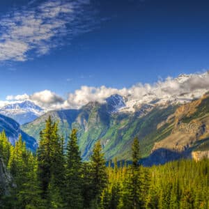 The Campnab service provides Milestone users with Campsite Availability Alerts, allowing them to easily track and be notified about the availability of campgrounds.