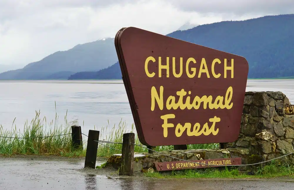 A sign displaying the name "Chugach National Forest" within the Russian River Campground.