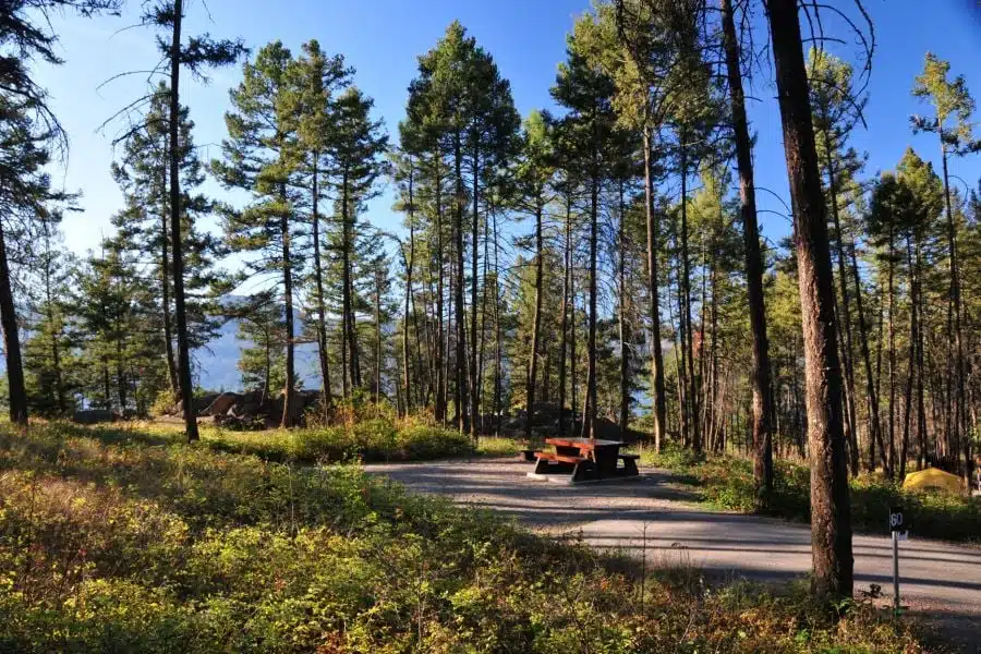 A jeep driving down a road in Ellison Provincial Park, surrounded by the tranquil woods and passing by the Upgraded Campground.