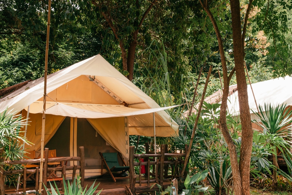 A group of tents surrounded by trees and plants, perfect for Asia's Millennials and Gen Z.