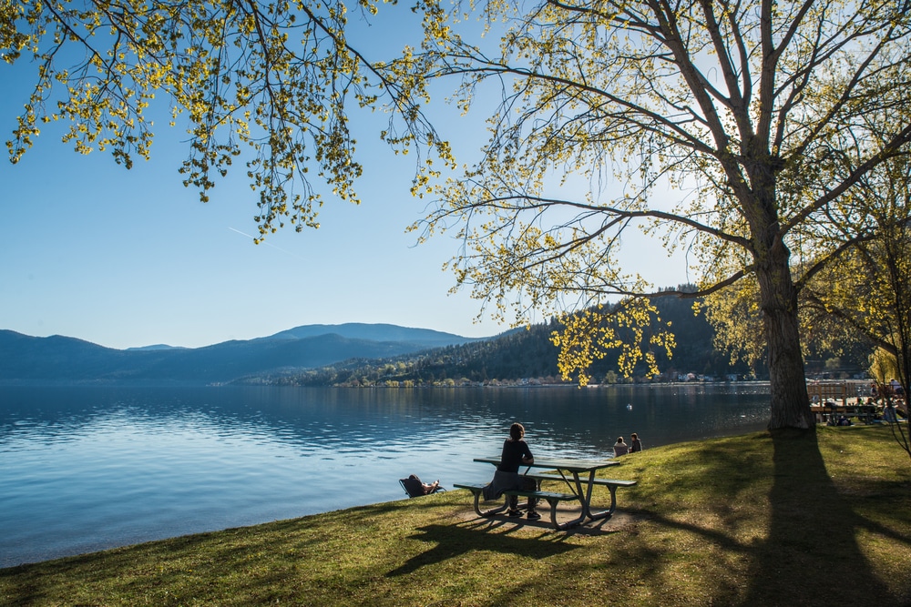 A woman clamps down her picnic basket on a table near a lake in Peachland.