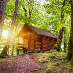 A cozy log cabin nestled within the enchanting New England forest, perfect for mid-season campers seeking tranquility and natural beauty.