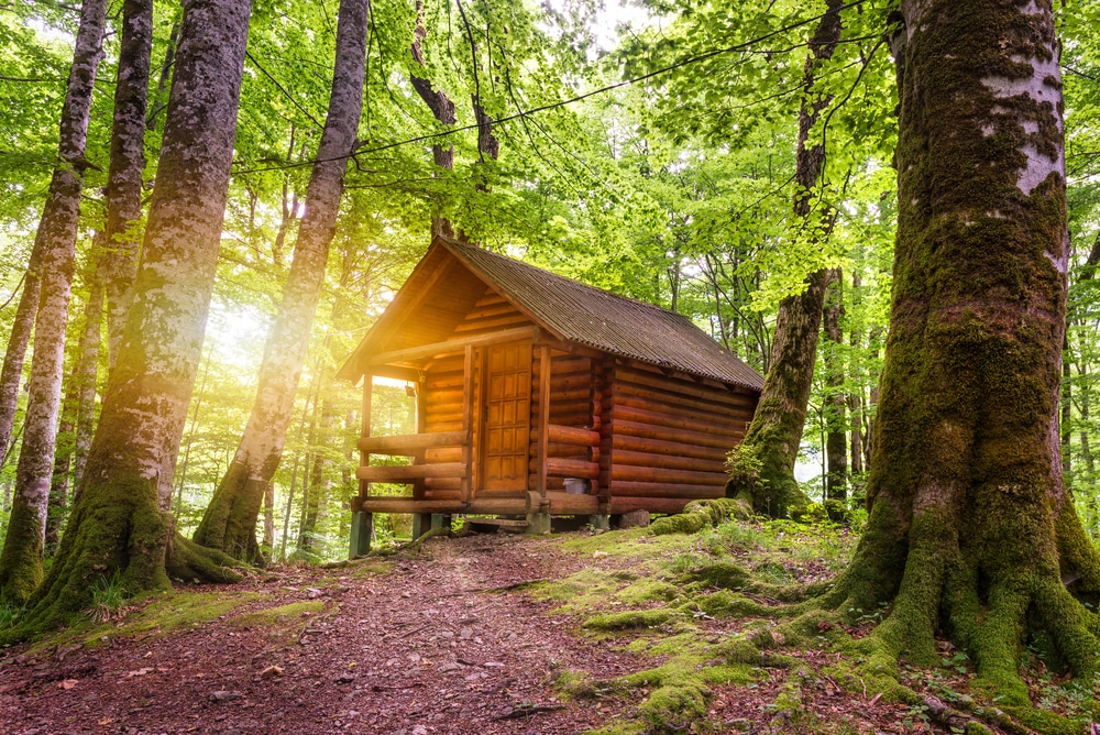 A cozy log cabin nestled within the enchanting New England forest, perfect for mid-season campers seeking tranquility and natural beauty.
