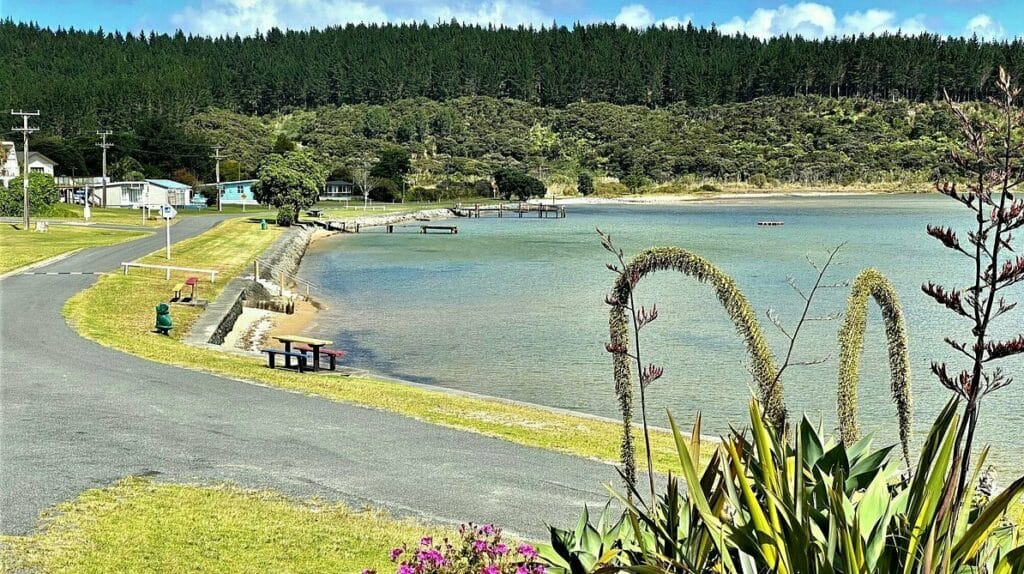 A scenic road winding alongside the peaceful waters of Glinks Gully in the stunning Kaipara District, adorned with vibrant flowers.