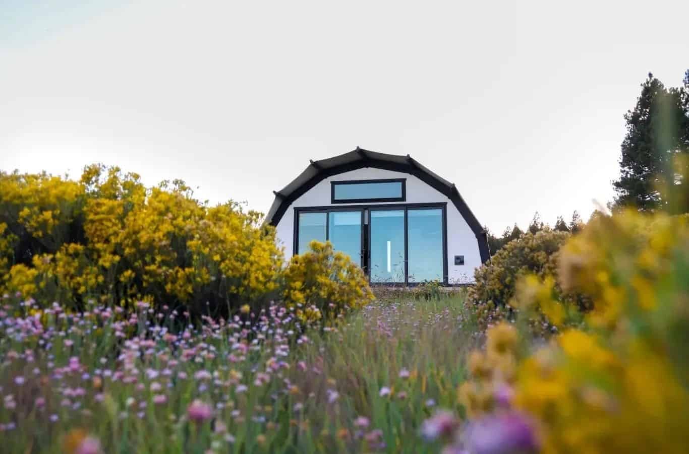 A Backland oasis, a small Glamorous Camper in the middle of a field of flowers.