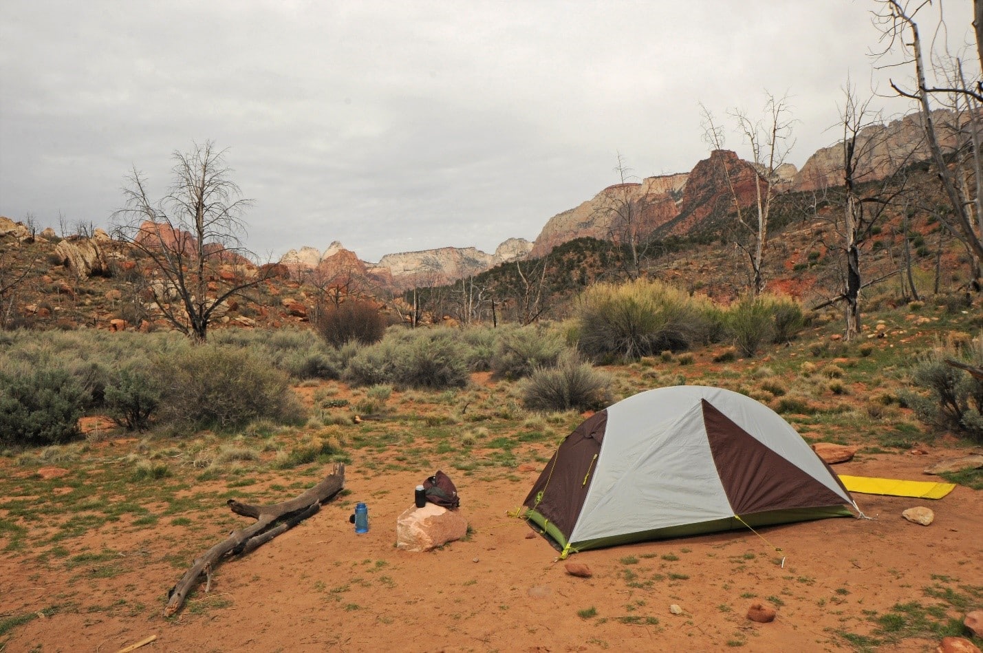 A tent is set up in the middle of the wilderness.