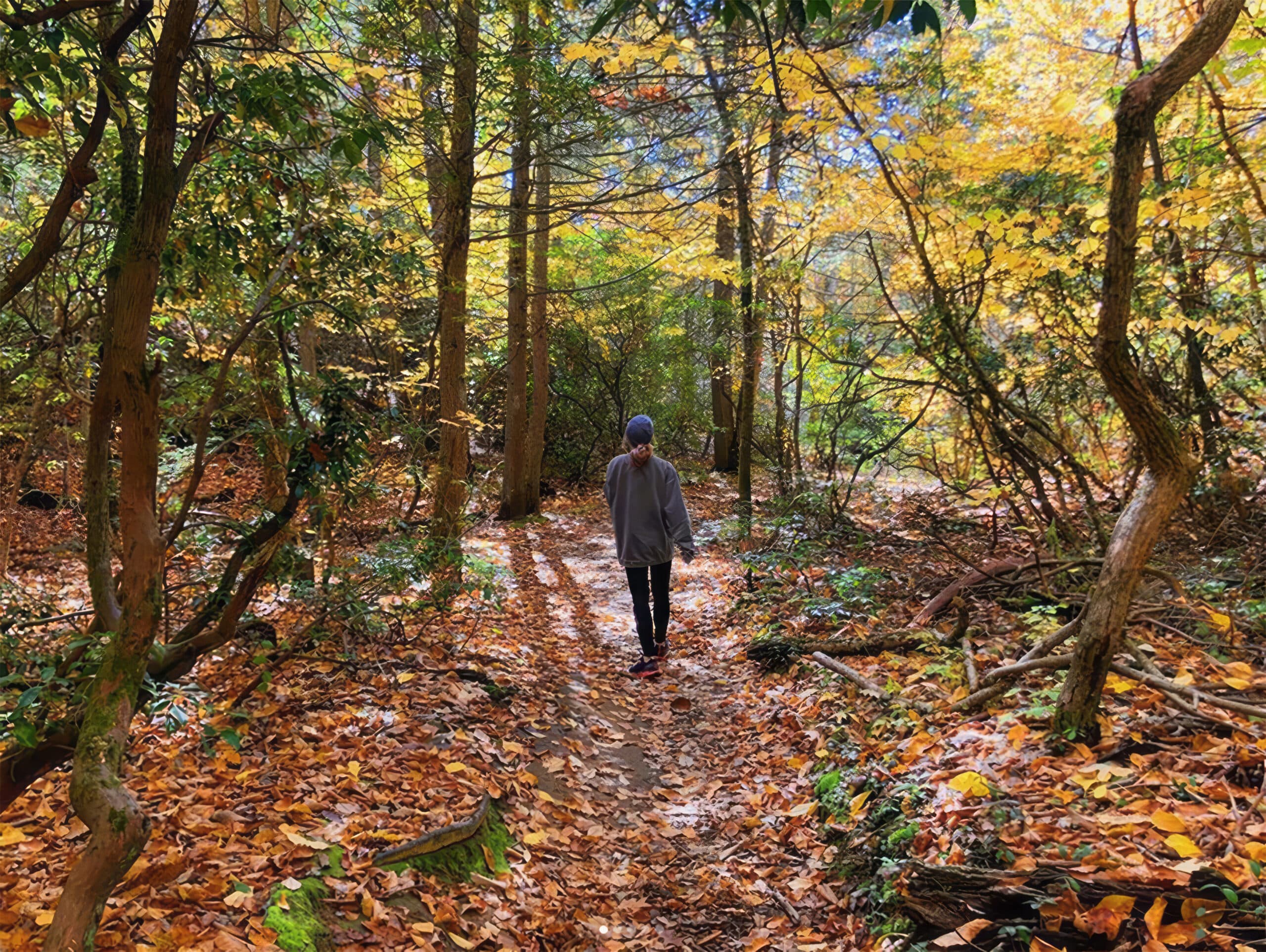 A person walking through the woods in Connecticut during fall.