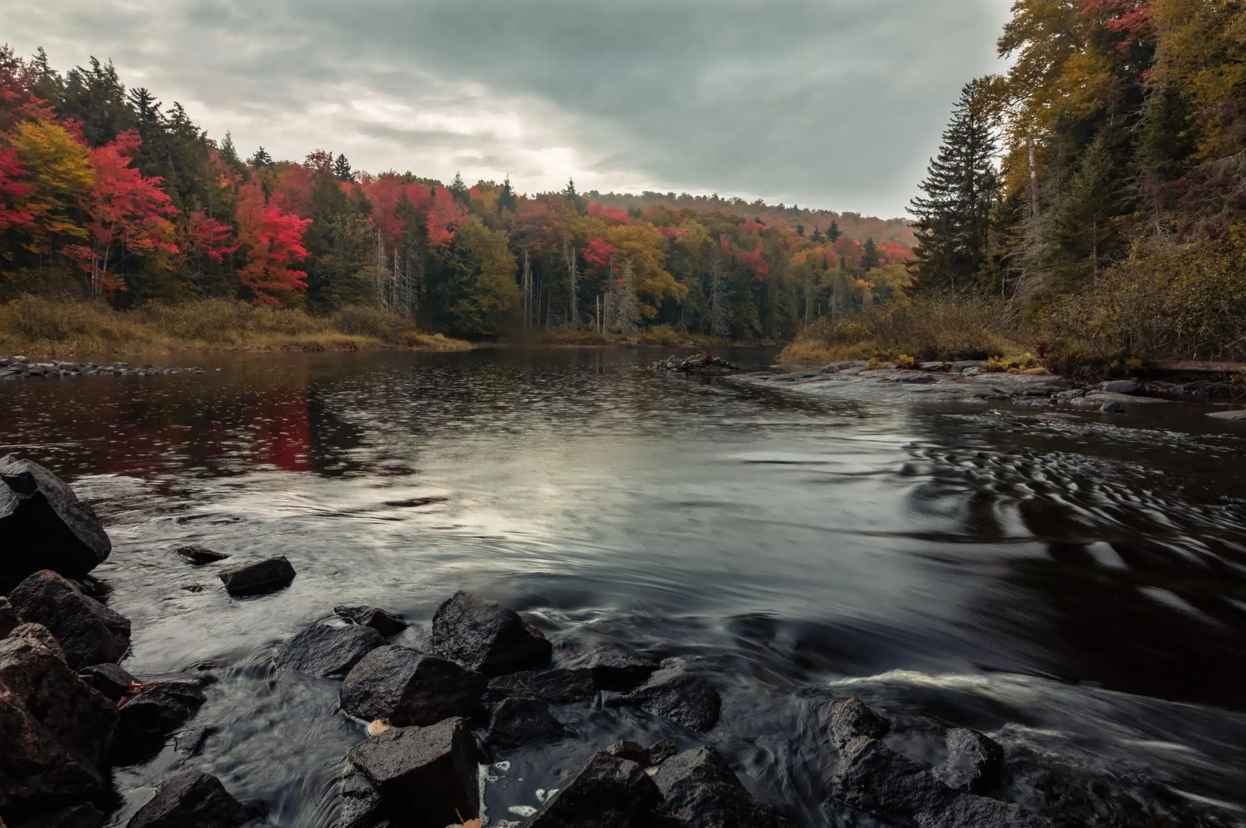 The Adirondack Wilderness river, surrounded by trees and rocks, is safeguarded in New York.