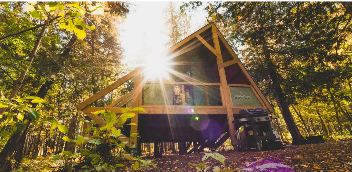 A small cabin in the woods at Mactaquac Provincial Park with the words, 'how to build a cabin in the woods'.