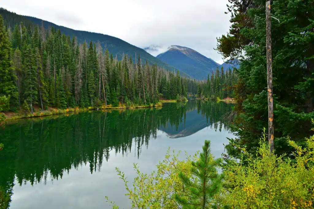 A lake surrounded by trees in Manning Park.