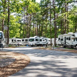 A modern campground with multiple RVs parked, featuring new electrical and water pedestals, surrounded by trees with bright daylight and no identifiable landmarks.