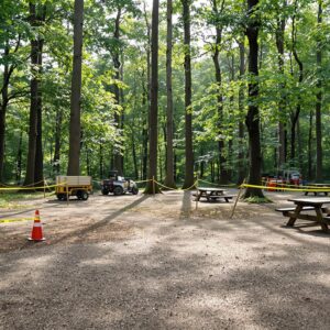 Empty forest campground with picnic table, caution tape, and maintenance cart under summer trees, morning sunlight filtering through leaves