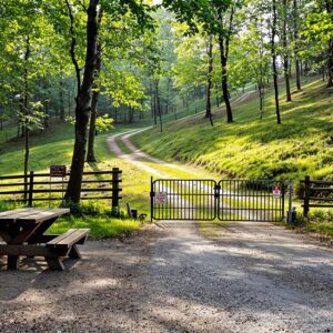 Empty campground with a picnic table and fire ring in a grassy, sunlit woodland clearing, small gate across dirt road in the background.