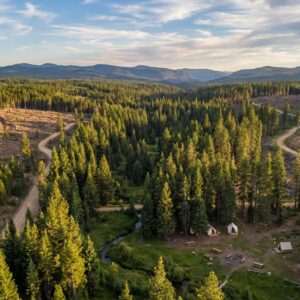 Aerial view of a secluded campsite featuring white canvas tents and picnic tables nestled near a winding creek in a dense pine forest, with dirt roads cutting through timber clearings and a mountain range in the background.