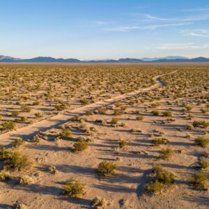 A winding dirt road cuts through a vast, arid desert landscape dotted with sparse green scrub brush, leading toward a rugged mountain range on the horizon under a clear blue sky.